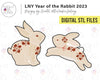 STL Digital Files for LNY -Year of the Rabbit 2023 - Designs by Chantel @TheCookieGallery